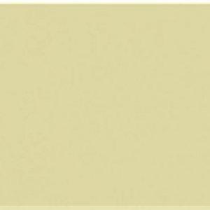 Paint and Paper Library Wattle II Paint
